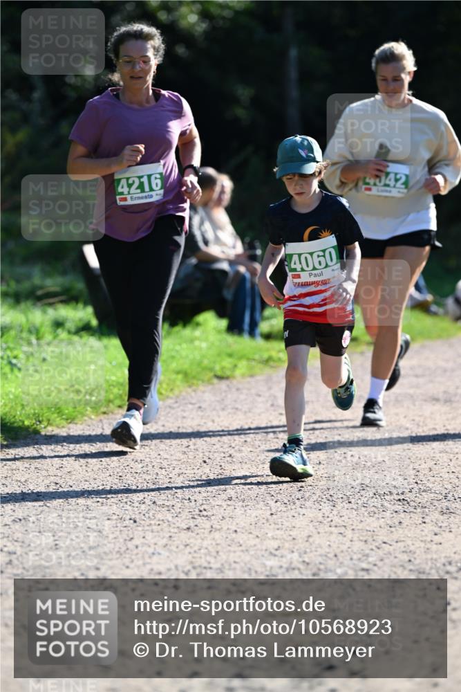 27.09.2026 - 35. Volkslauf durch das schöne Alstertal Dr. Thomas Lammeyer http://msf.ph/oto/10568923 27.09.2026 10:55:18 Laufen 4216, 4060, 4042 meine-sportfotos.de