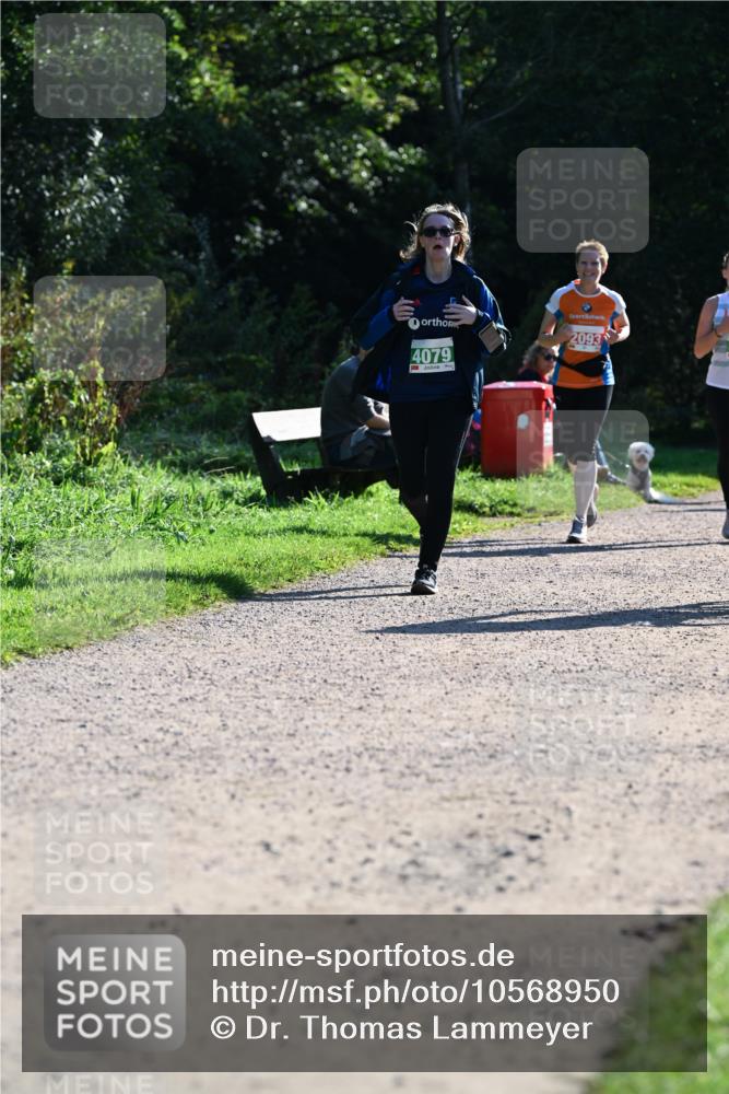 27.09.2026 - 35. Volkslauf durch das schöne Alstertal Dr. Thomas Lammeyer http://msf.ph/oto/10568950 27.09.2026 10:55:23 Laufen 4079, 2093 meine-sportfotos.de