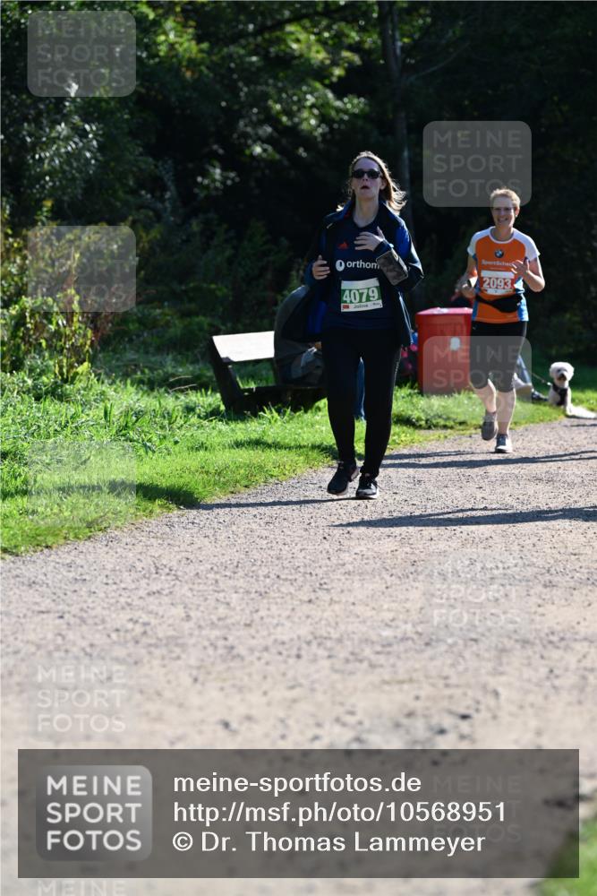 27.09.2026 - 35. Volkslauf durch das schöne Alstertal Dr. Thomas Lammeyer http://msf.ph/oto/10568951 27.09.2026 10:55:24 Laufen 4079, 2093 meine-sportfotos.de