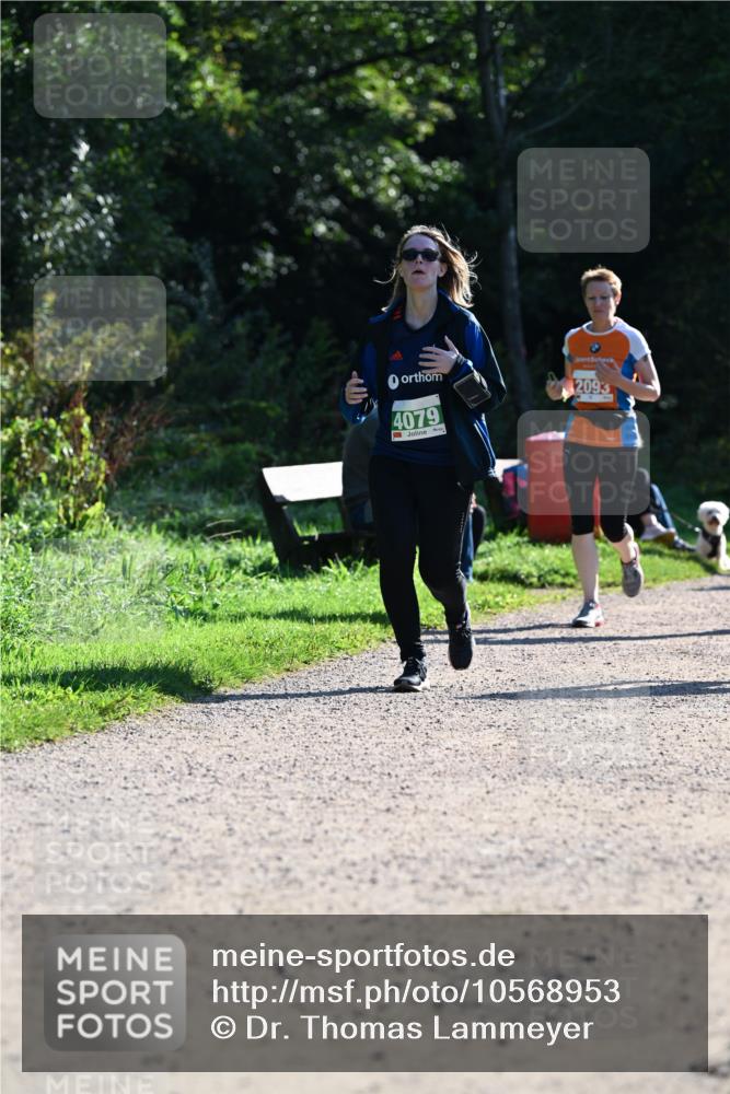 27.09.2026 - 35. Volkslauf durch das schöne Alstertal Dr. Thomas Lammeyer http://msf.ph/oto/10568953 27.09.2026 10:55:24 Laufen 4079, 2093 meine-sportfotos.de