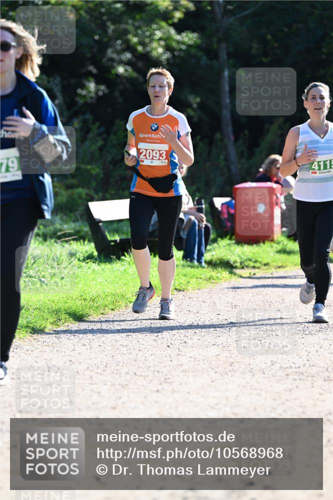 27.09.2026 - 35. Volkslauf durch das schöne Alstertal Dr. Thomas Lammeyer http://msf.ph/oto/10568968 27.09.2026 10:55:26 Laufen 79, 2093, 411 meine-sportfotos.de