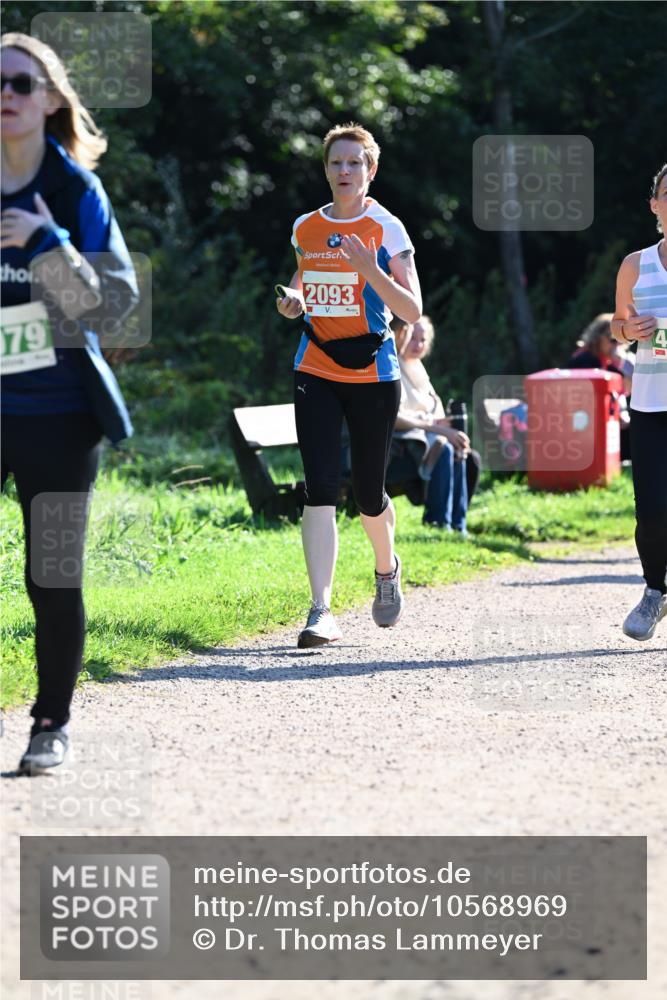 27.09.2026 - 35. Volkslauf durch das schöne Alstertal Dr. Thomas Lammeyer http://msf.ph/oto/10568969 27.09.2026 10:55:26 Laufen 79, 2093 meine-sportfotos.de