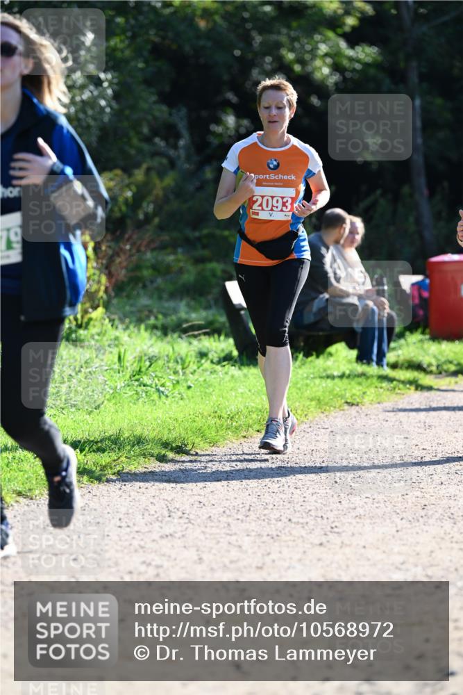 27.09.2026 - 35. Volkslauf durch das schöne Alstertal Dr. Thomas Lammeyer http://msf.ph/oto/10568972 27.09.2026 10:55:26 Laufen 79, 2093 meine-sportfotos.de