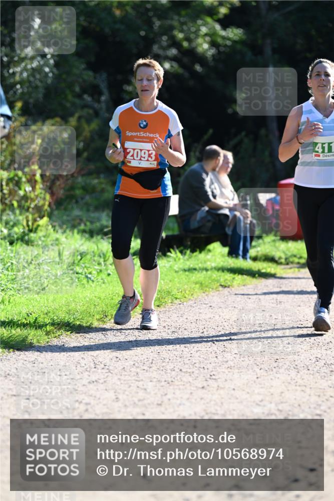 27.09.2026 - 35. Volkslauf durch das schöne Alstertal Dr. Thomas Lammeyer http://msf.ph/oto/10568974 27.09.2026 10:55:26 Laufen 2093, 411 meine-sportfotos.de