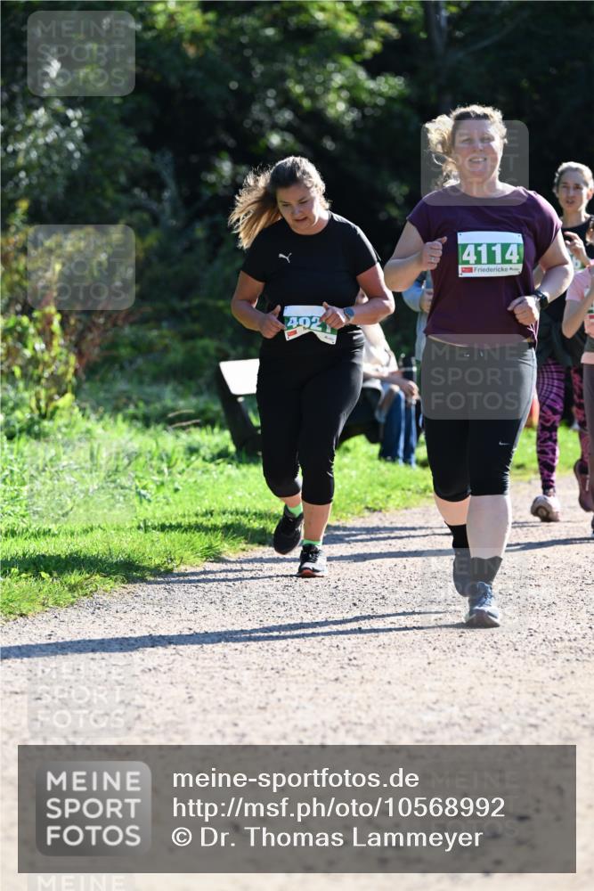 27.09.2026 - 35. Volkslauf durch das schöne Alstertal Dr. Thomas Lammeyer http://msf.ph/oto/10568992 27.09.2026 10:55:30 Laufen 402, 4114 meine-sportfotos.de