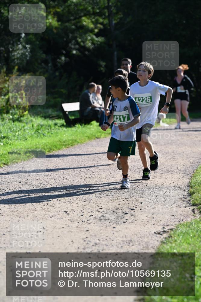 27.09.2026 - 35. Volkslauf durch das schöne Alstertal Dr. Thomas Lammeyer http://msf.ph/oto/10569135 27.09.2026 10:56:17 Laufen 4217, 4226 meine-sportfotos.de