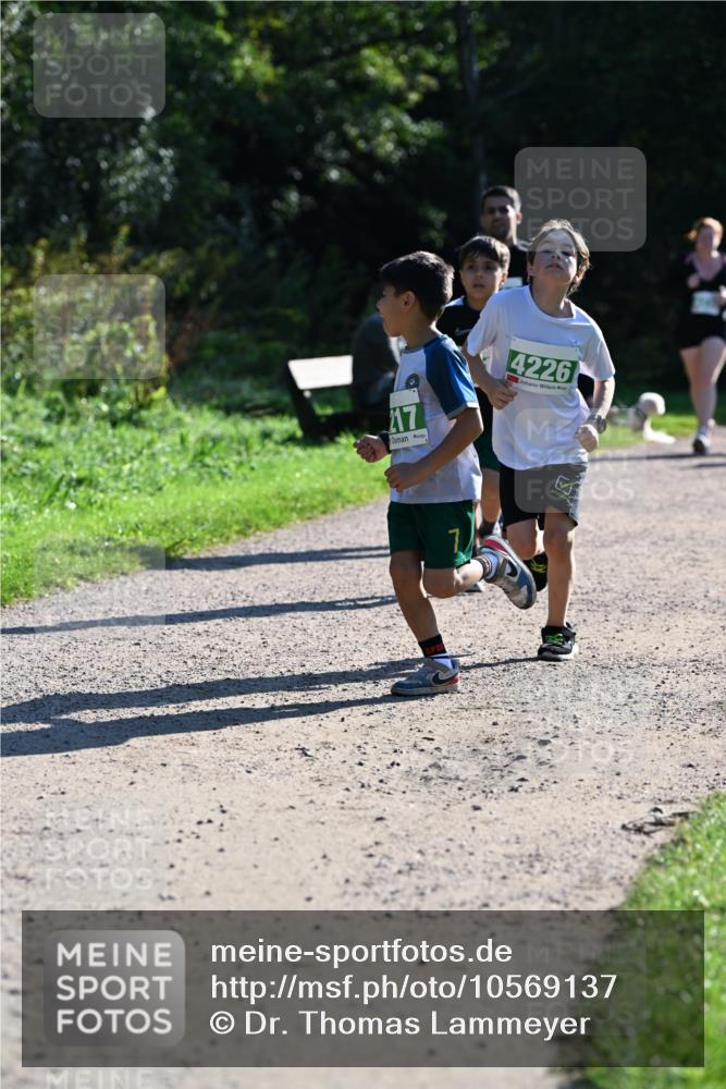 27.09.2026 - 35. Volkslauf durch das schöne Alstertal Dr. Thomas Lammeyer http://msf.ph/oto/10569137 27.09.2026 10:56:17 Laufen 17, 4226 meine-sportfotos.de