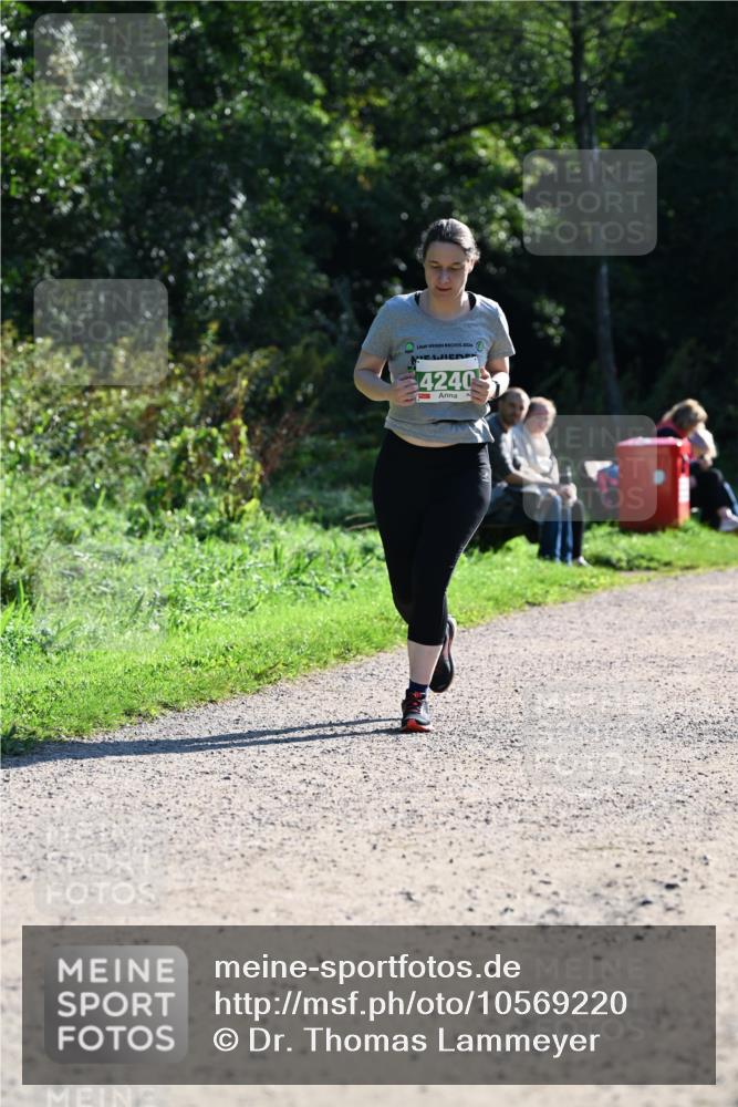 27.09.2026 - 35. Volkslauf durch das schöne Alstertal Dr. Thomas Lammeyer http://msf.ph/oto/10569220 27.09.2026 10:56:34 Laufen 2026, 4240 meine-sportfotos.de