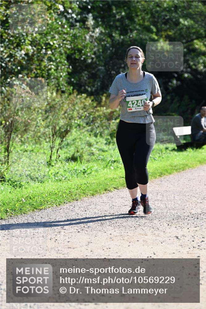 27.09.2026 - 35. Volkslauf durch das schöne Alstertal Dr. Thomas Lammeyer http://msf.ph/oto/10569229 27.09.2026 10:56:36 Laufen 2026, 4240 meine-sportfotos.de