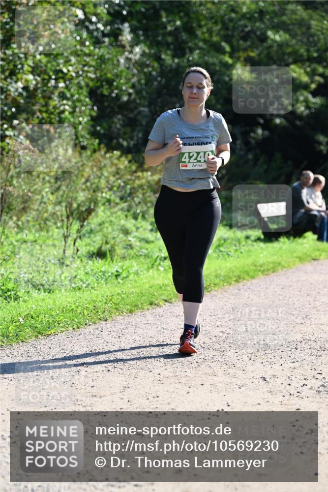 27.09.2026 - 35. Volkslauf durch das schöne Alstertal Dr. Thomas Lammeyer http://msf.ph/oto/10569230 27.09.2026 10:56:36 Laufen 2026, 14246 meine-sportfotos.de
