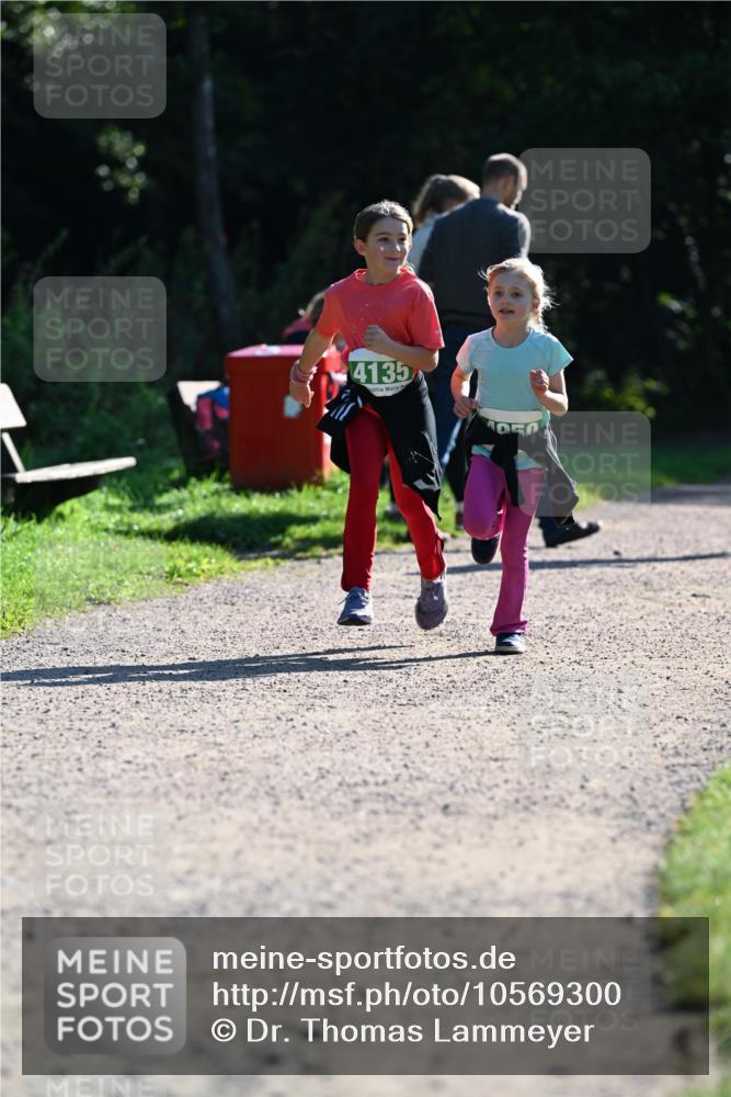 27.09.2026 - 35. Volkslauf durch das schöne Alstertal Dr. Thomas Lammeyer http://msf.ph/oto/10569300 27.09.2026 10:57:21 Laufen 4135 meine-sportfotos.de