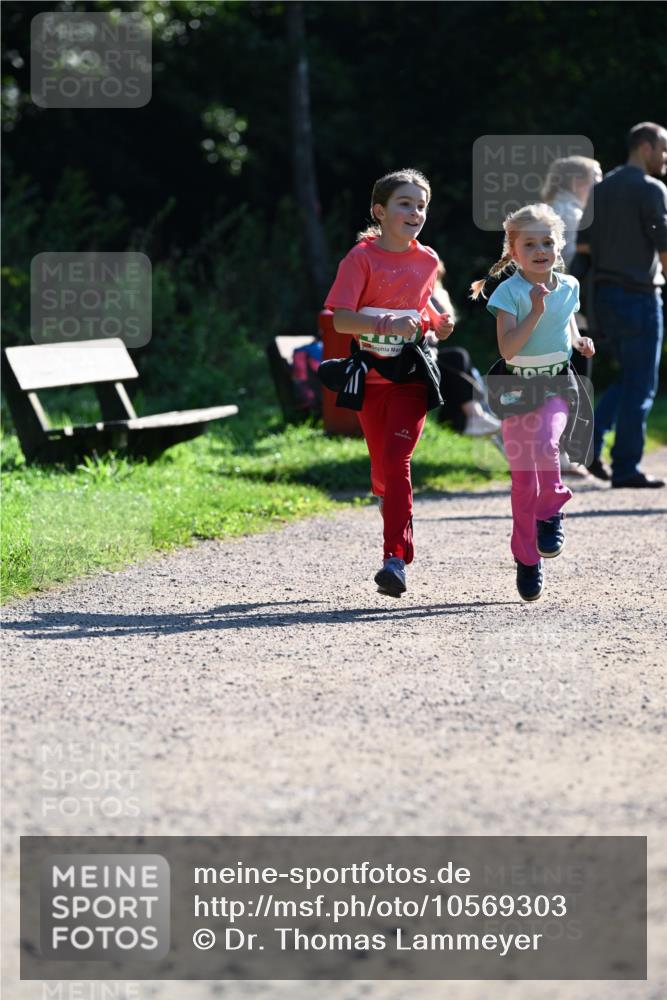 27.09.2026 - 35. Volkslauf durch das schöne Alstertal Dr. Thomas Lammeyer http://msf.ph/oto/10569303 27.09.2026 10:57:22 Laufen  meine-sportfotos.de
