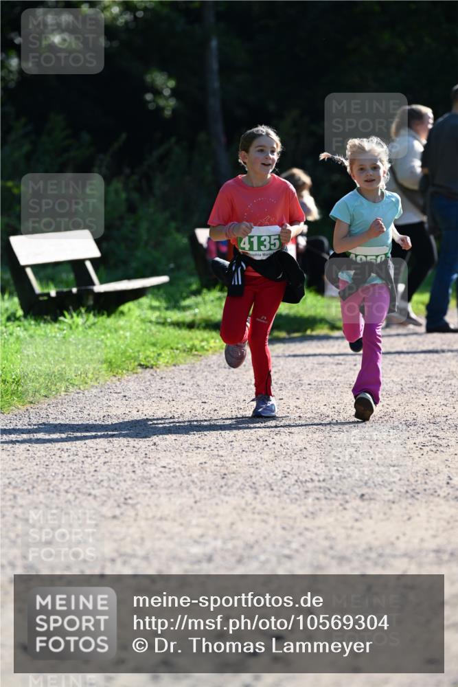 27.09.2026 - 35. Volkslauf durch das schöne Alstertal Dr. Thomas Lammeyer http://msf.ph/oto/10569304 27.09.2026 10:57:22 Laufen 4135 meine-sportfotos.de