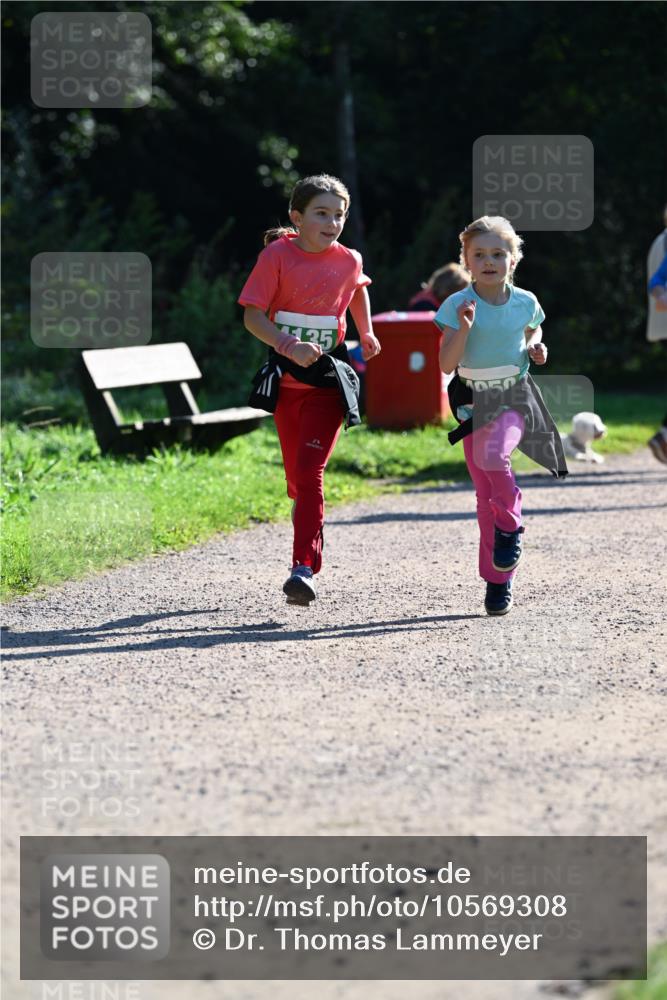 27.09.2026 - 35. Volkslauf durch das schöne Alstertal Dr. Thomas Lammeyer http://msf.ph/oto/10569308 27.09.2026 10:57:22 Laufen 135 meine-sportfotos.de