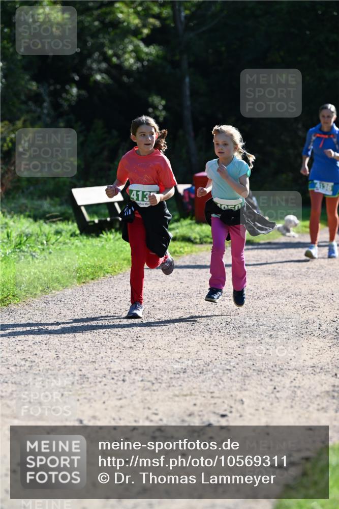 27.09.2026 - 35. Volkslauf durch das schöne Alstertal Dr. Thomas Lammeyer http://msf.ph/oto/10569311 27.09.2026 10:57:23 Laufen 413, 4136 meine-sportfotos.de