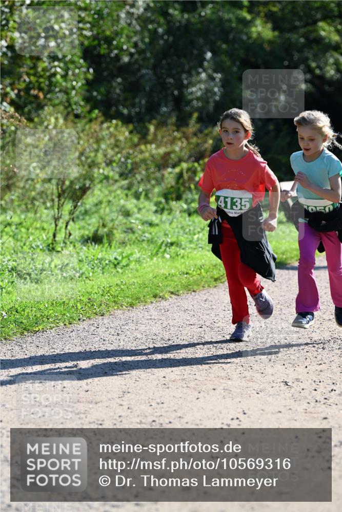 27.09.2026 - 35. Volkslauf durch das schöne Alstertal Dr. Thomas Lammeyer http://msf.ph/oto/10569316 27.09.2026 10:57:24 Laufen 4135 meine-sportfotos.de