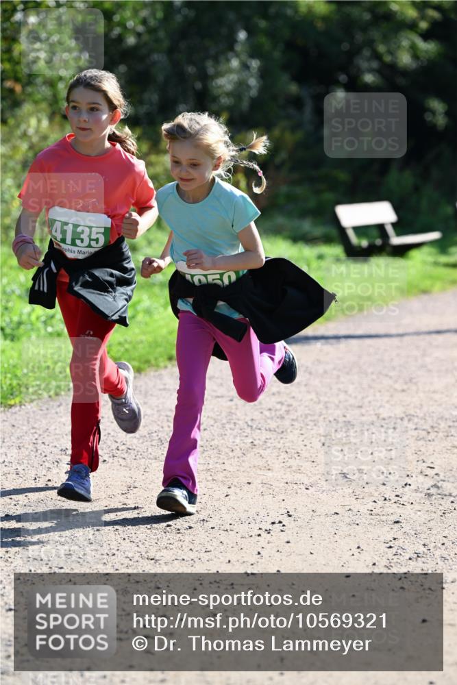 27.09.2026 - 35. Volkslauf durch das schöne Alstertal Dr. Thomas Lammeyer http://msf.ph/oto/10569321 27.09.2026 10:57:25 Laufen 4135 meine-sportfotos.de