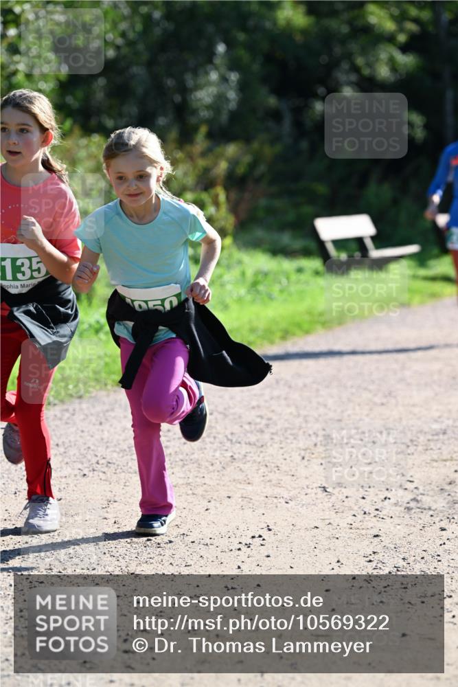 27.09.2026 - 35. Volkslauf durch das schöne Alstertal Dr. Thomas Lammeyer http://msf.ph/oto/10569322 27.09.2026 10:57:25 Laufen 135, 050 meine-sportfotos.de
