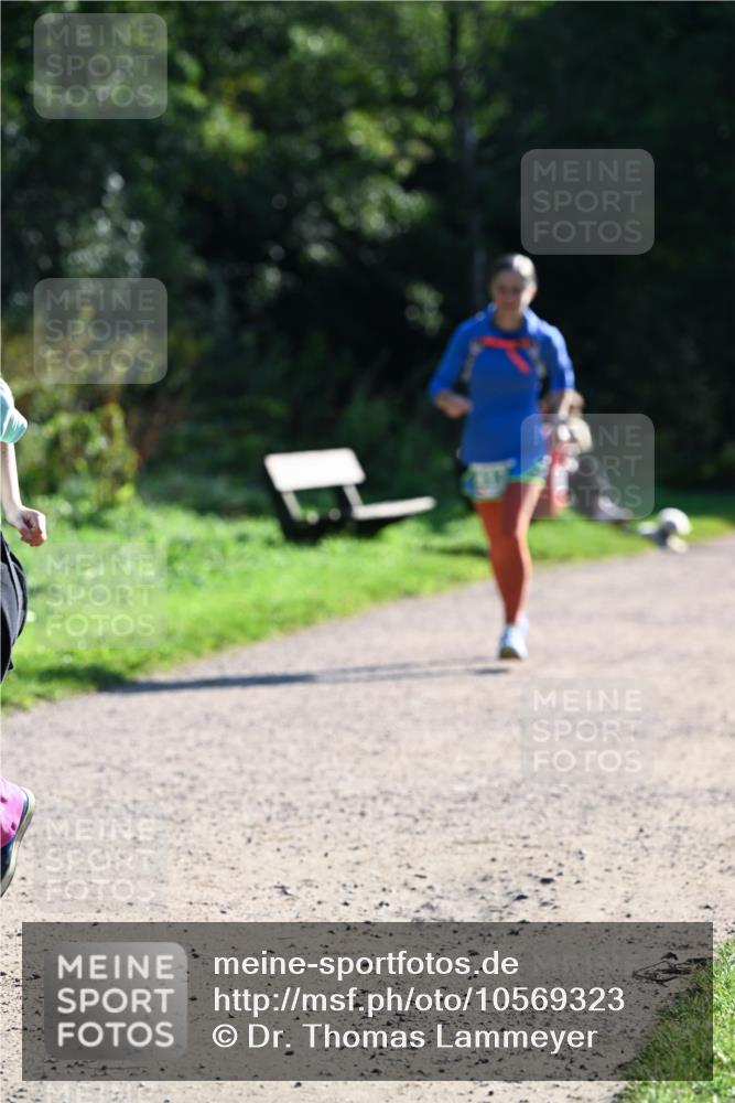 27.09.2026 - 35. Volkslauf durch das schöne Alstertal Dr. Thomas Lammeyer http://msf.ph/oto/10569323 27.09.2026 10:57:25 Laufen  meine-sportfotos.de
