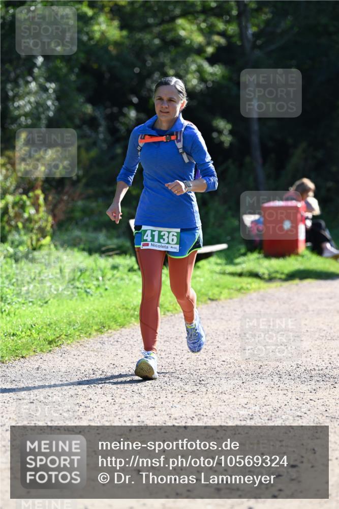 27.09.2026 - 35. Volkslauf durch das schöne Alstertal Dr. Thomas Lammeyer http://msf.ph/oto/10569324 27.09.2026 10:57:26 Laufen 4136 meine-sportfotos.de