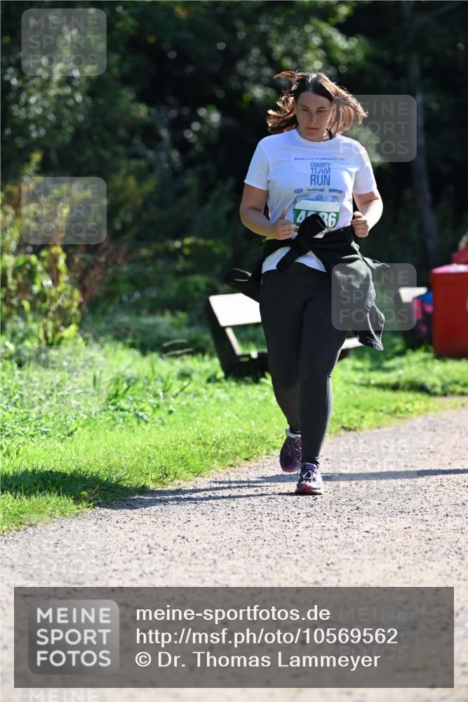 27.09.2026 - 35. Volkslauf durch das schöne Alstertal Dr. Thomas Lammeyer http://msf.ph/oto/10569562 27.09.2026 10:58:29 Laufen 2025, 1436 meine-sportfotos.de