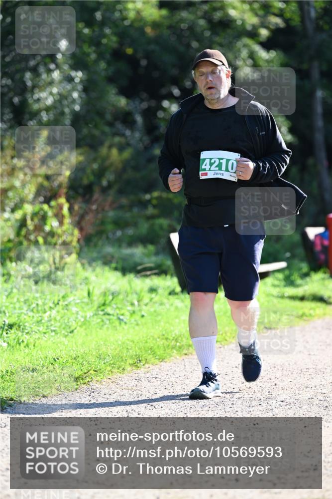 27.09.2026 - 35. Volkslauf durch das schöne Alstertal Dr. Thomas Lammeyer http://msf.ph/oto/10569593 27.09.2026 10:58:42 Laufen 4210 meine-sportfotos.de