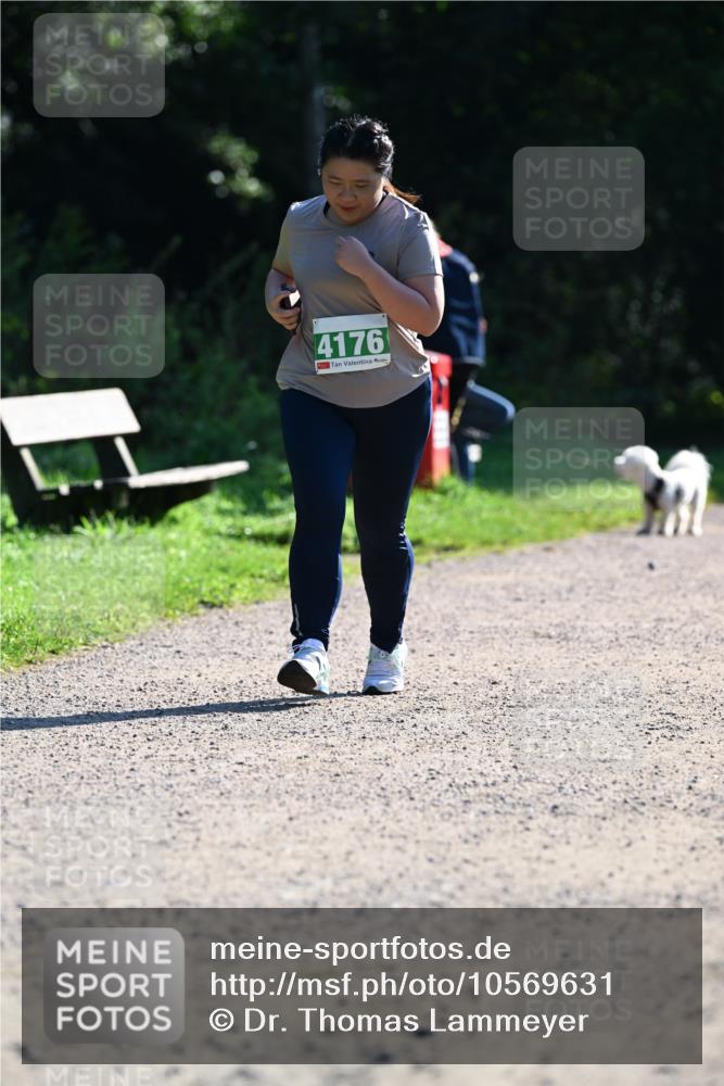 27.09.2026 - 35. Volkslauf durch das schöne Alstertal Dr. Thomas Lammeyer http://msf.ph/oto/10569631 27.09.2026 10:59:08 Laufen 4176 meine-sportfotos.de