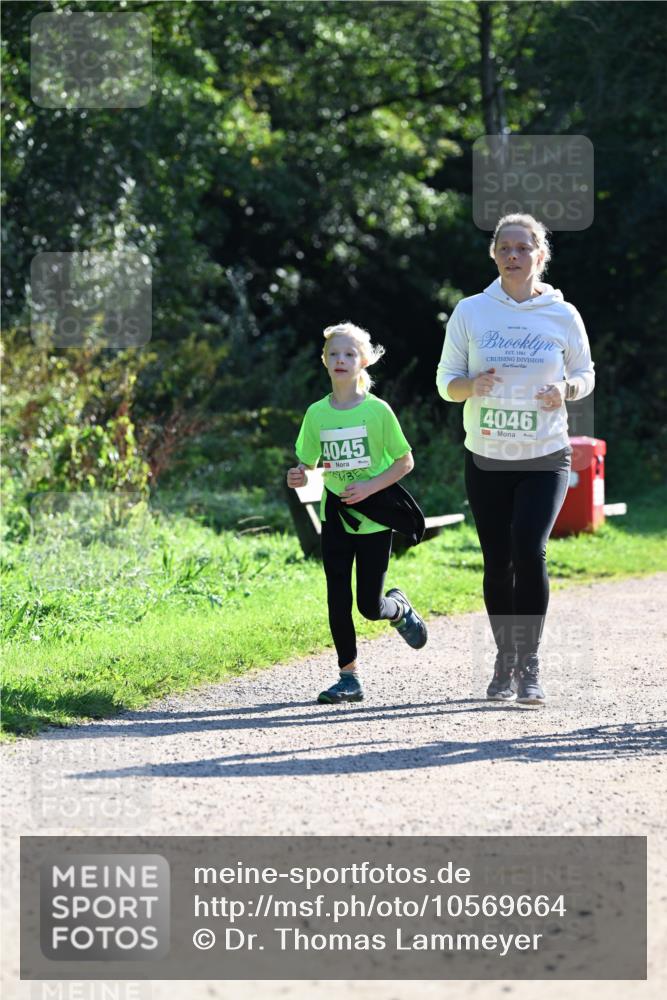27.09.2026 - 35. Volkslauf durch das schöne Alstertal Dr. Thomas Lammeyer http://msf.ph/oto/10569664 27.09.2026 10:59:37 Laufen 4045, 1982, 4046 meine-sportfotos.de