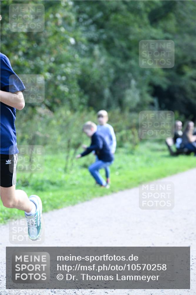 27.09.2026 - 35. Volkslauf durch das schöne Alstertal Dr. Thomas Lammeyer http://msf.ph/oto/10570258 27.09.2026 11:11:13 Laufen  meine-sportfotos.de