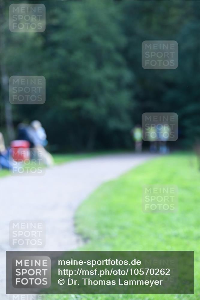 27.09.2026 - 35. Volkslauf durch das schöne Alstertal Dr. Thomas Lammeyer http://msf.ph/oto/10570262 27.09.2026 11:11:13 Laufen 117 meine-sportfotos.de
