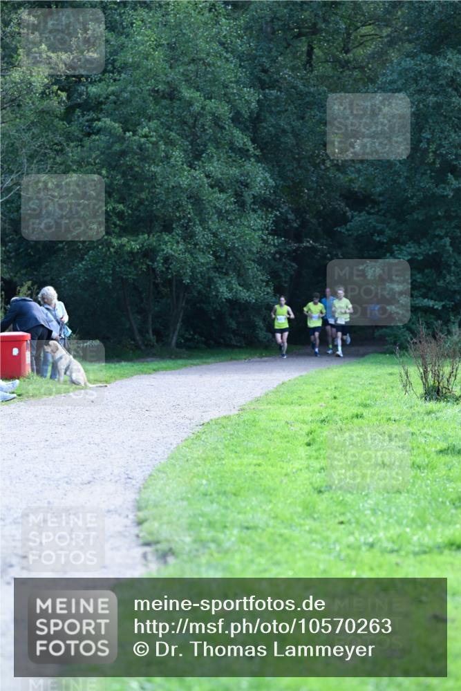 27.09.2026 - 35. Volkslauf durch das schöne Alstertal Dr. Thomas Lammeyer http://msf.ph/oto/10570263 27.09.2026 11:11:13 Laufen  meine-sportfotos.de