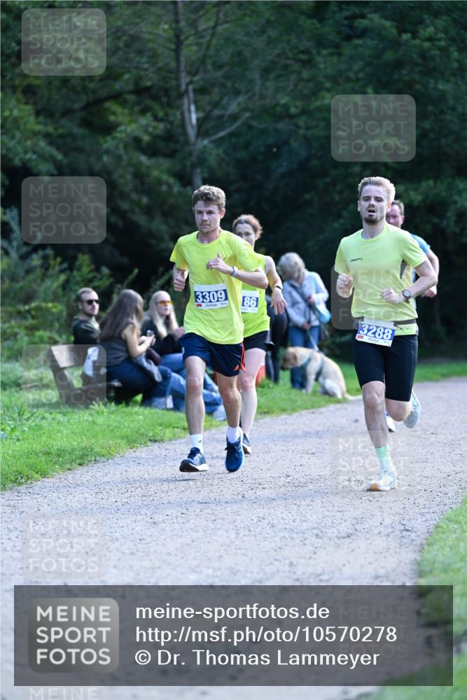 27.09.2026 - 35. Volkslauf durch das schöne Alstertal Dr. Thomas Lammeyer http://msf.ph/oto/10570278 27.09.2026 11:11:21 Laufen 3309, 86, 3288 meine-sportfotos.de