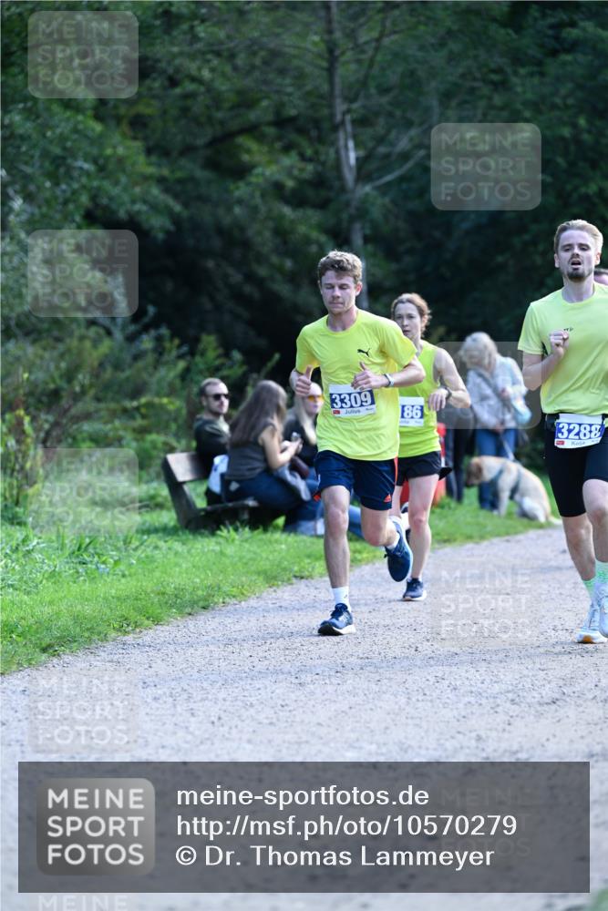 27.09.2026 - 35. Volkslauf durch das schöne Alstertal Dr. Thomas Lammeyer http://msf.ph/oto/10570279 27.09.2026 11:11:22 Laufen 3309, 86, 3288 meine-sportfotos.de