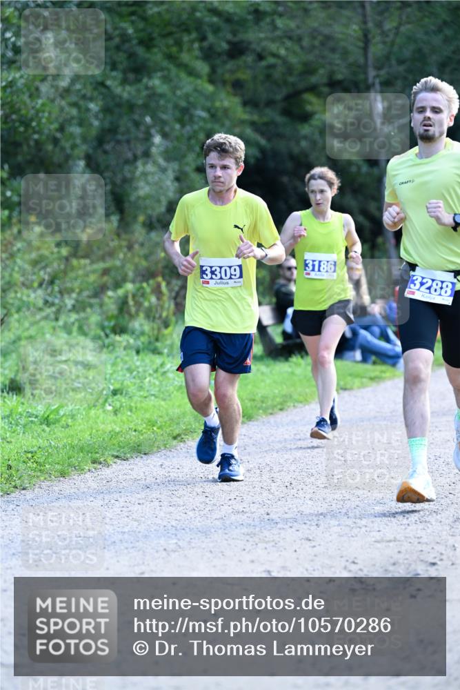 27.09.2026 - 35. Volkslauf durch das schöne Alstertal Dr. Thomas Lammeyer http://msf.ph/oto/10570286 27.09.2026 11:11:23 Laufen 3309, 3186, 3288 meine-sportfotos.de