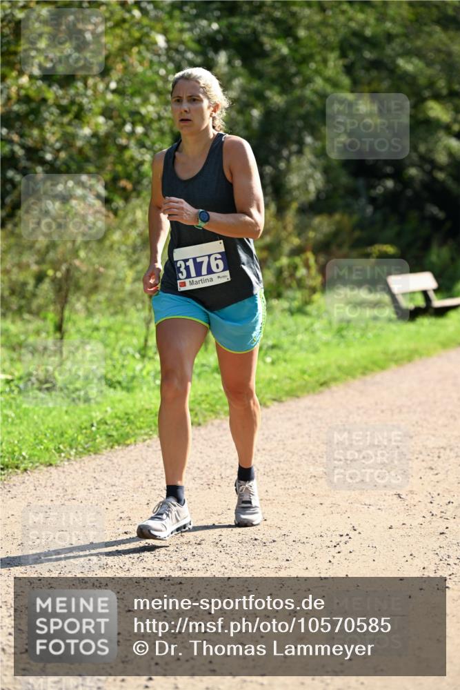 27.09.2026 - 35. Volkslauf durch das schöne Alstertal Dr. Thomas Lammeyer http://msf.ph/oto/10570585 27.09.2026 11:14:15 Laufen 3176 meine-sportfotos.de