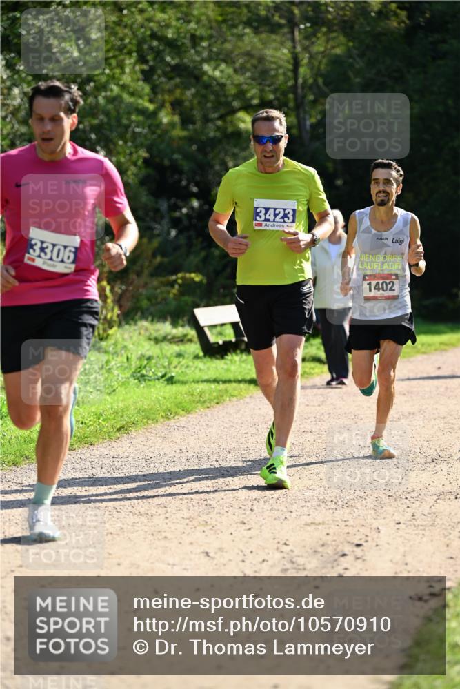 27.09.2026 - 35. Volkslauf durch das schöne Alstertal Dr. Thomas Lammeyer http://msf.ph/oto/10570910 27.09.2026 11:16:07 Laufen 3306, 3423, 9, 1402 meine-sportfotos.de