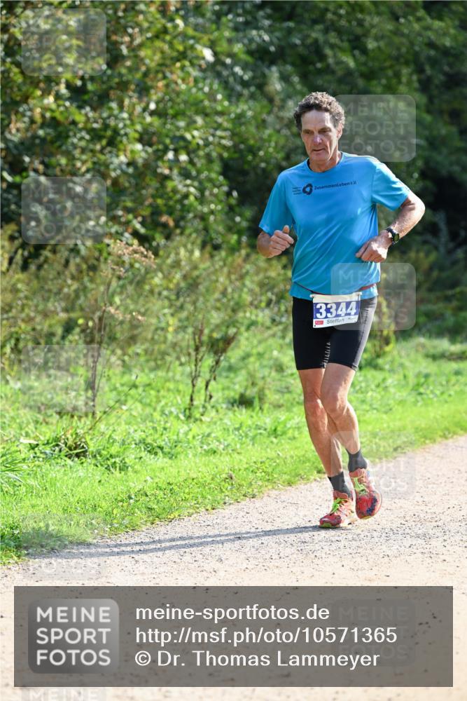 27.09.2026 - 35. Volkslauf durch das schöne Alstertal Dr. Thomas Lammeyer http://msf.ph/oto/10571365 27.09.2026 11:18:34 Laufen 3344 meine-sportfotos.de