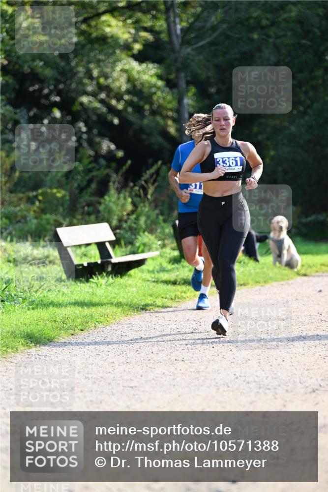 27.09.2026 - 35. Volkslauf durch das schöne Alstertal Dr. Thomas Lammeyer http://msf.ph/oto/10571388 27.09.2026 11:18:47 Laufen 3361, 21 meine-sportfotos.de