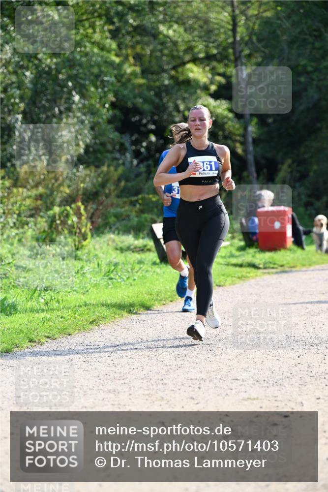 27.09.2026 - 35. Volkslauf durch das schöne Alstertal Dr. Thomas Lammeyer http://msf.ph/oto/10571403 27.09.2026 11:18:48 Laufen 361 meine-sportfotos.de