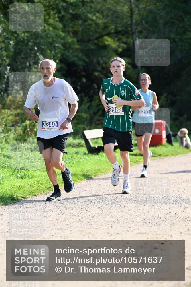 27.09.2026 - 35. Volkslauf durch das schöne Alstertal Dr. Thomas Lammeyer http://msf.ph/oto/10571637 27.09.2026 11:19:54 Laufen 3340, 3988, 3213 meine-sportfotos.de