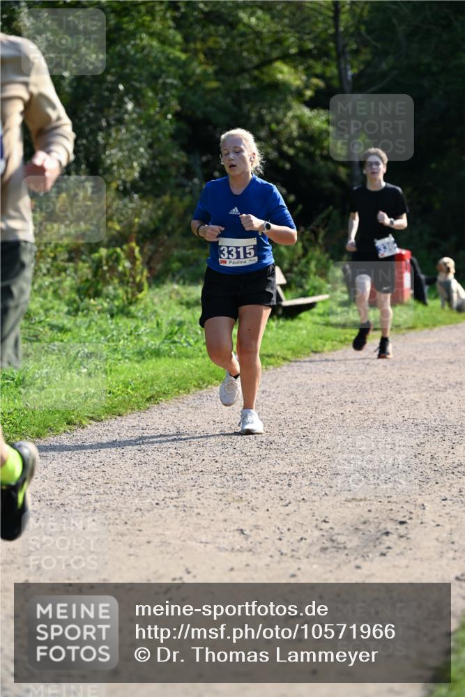 27.09.2026 - 35. Volkslauf durch das schöne Alstertal Dr. Thomas Lammeyer http://msf.ph/oto/10571966 27.09.2026 11:21:30 Laufen 3315 meine-sportfotos.de