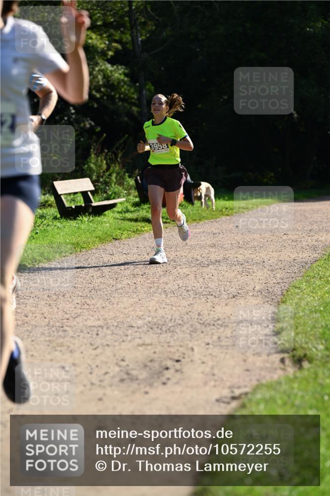 27.09.2026 - 35. Volkslauf durch das schöne Alstertal Dr. Thomas Lammeyer http://msf.ph/oto/10572255 27.09.2026 11:22:29 Laufen 21, 3958 meine-sportfotos.de