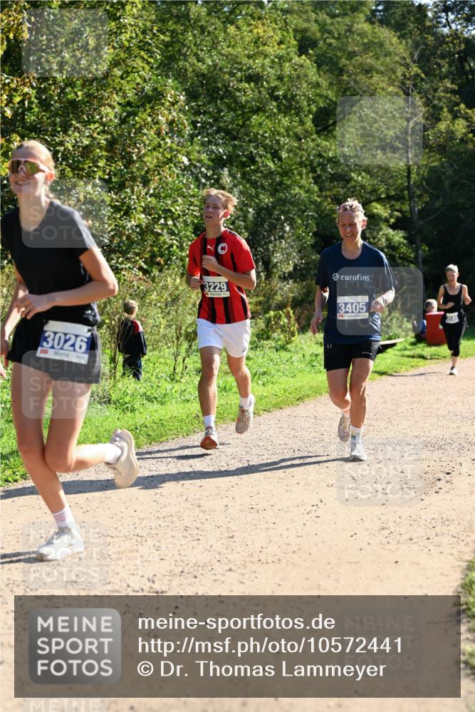 27.09.2026 - 35. Volkslauf durch das schöne Alstertal Dr. Thomas Lammeyer http://msf.ph/oto/10572441 27.09.2026 11:23:38 Laufen 3026, 3229, 3405, 5145 meine-sportfotos.de