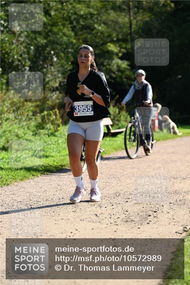 27.09.2026 - 35. Volkslauf durch das schöne Alstertal Dr. Thomas Lammeyer http://msf.ph/oto/10572989 27.09.2026 11:25:55 Laufen 3955 meine-sportfotos.de