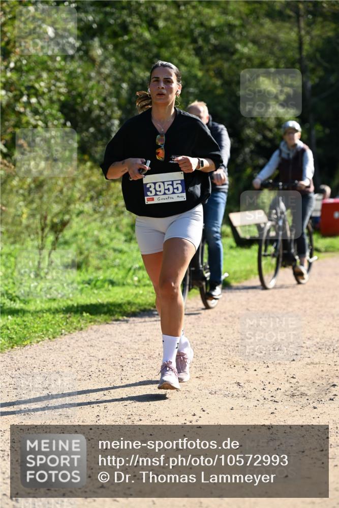 27.09.2026 - 35. Volkslauf durch das schöne Alstertal Dr. Thomas Lammeyer http://msf.ph/oto/10572993 27.09.2026 11:25:56 Laufen 3955 meine-sportfotos.de