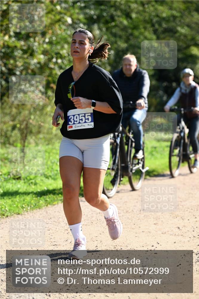 27.09.2026 - 35. Volkslauf durch das schöne Alstertal Dr. Thomas Lammeyer http://msf.ph/oto/10572999 27.09.2026 11:25:56 Laufen 3955 meine-sportfotos.de