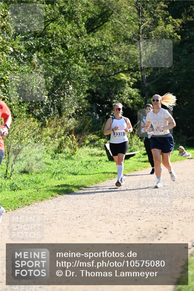 27.09.2026 - 35. Volkslauf durch das schöne Alstertal Dr. Thomas Lammeyer http://msf.ph/oto/10575080 27.09.2026 11:36:04 Laufen 3338, 333 meine-sportfotos.de
