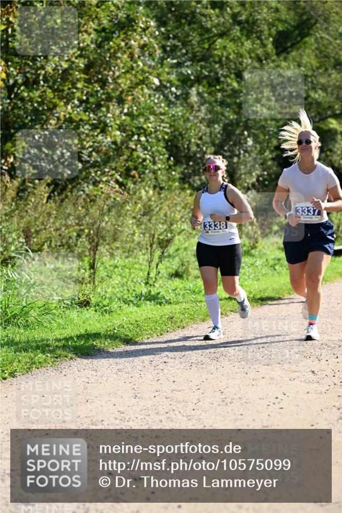 27.09.2026 - 35. Volkslauf durch das schöne Alstertal Dr. Thomas Lammeyer http://msf.ph/oto/10575099 27.09.2026 11:36:06 Laufen 3338, 3337 meine-sportfotos.de