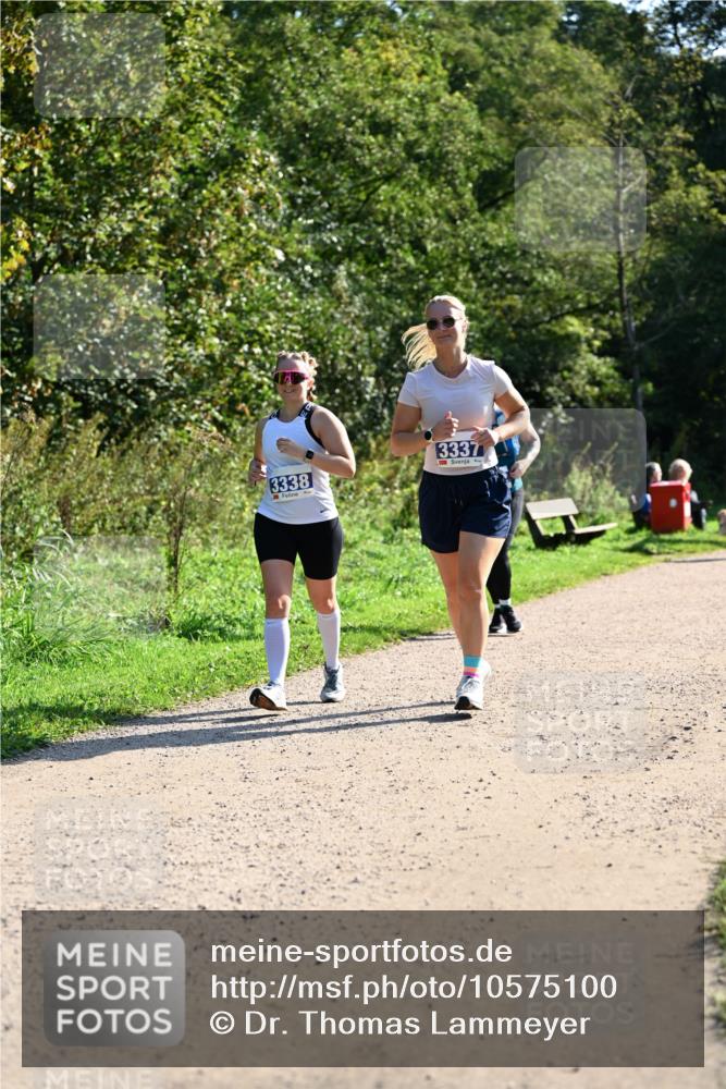 27.09.2026 - 35. Volkslauf durch das schöne Alstertal Dr. Thomas Lammeyer http://msf.ph/oto/10575100 27.09.2026 11:36:06 Laufen 3338, 3337 meine-sportfotos.de
