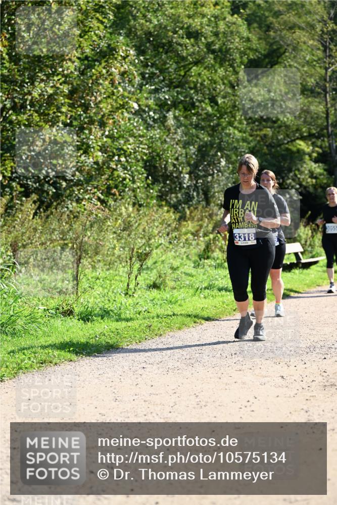 27.09.2026 - 35. Volkslauf durch das schöne Alstertal Dr. Thomas Lammeyer http://msf.ph/oto/10575134 27.09.2026 11:36:12 Laufen 3318, 3055 meine-sportfotos.de